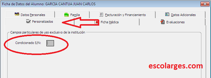 Como Agregar Campos Personalizados